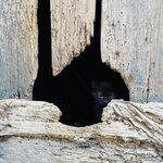 Photo taken by Veronica R