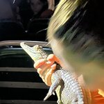 Photo taken by Tony F