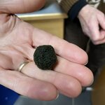 Photo taken by Nan K