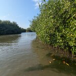 Photo taken by Camilo Z