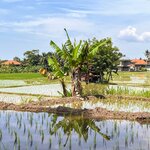 Photo taken by Jon P