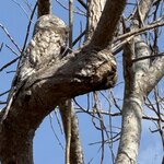 Photo taken by Sathees R