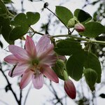 Photo taken by Miranda M