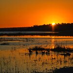 Photo taken by Kaye D