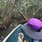 Photo taken by Rena D