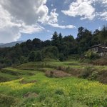 Photo taken by Amanda D