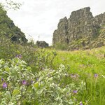 Photo taken by PETER S