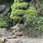 Photo taken by Nicoline v