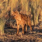 Photo taken by Tom B