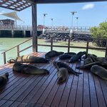 Photo taken by Nicole S