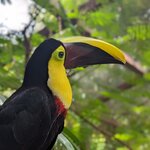 Photo taken by Jason C