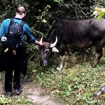 Photo taken by Amanda D