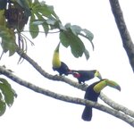 Photo taken by Brett F