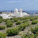 Photo taken by Cheryl L