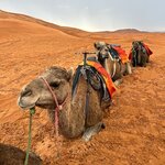 Photo taken by Mark L