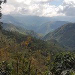 Photo taken by Anne T