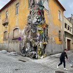 Photo taken by Lynn T