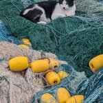 Photo taken by John P