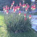 Photo taken by Ruth E