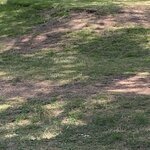 Photo taken by Mike C