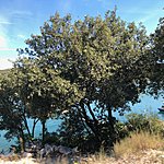 Photo taken by Sam Austin W