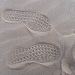 Photo taken by Paula H