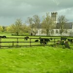 Photo taken by Laura F