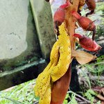 Photo taken by Mathew S