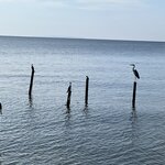 Photo taken by Michael L