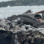 Photo taken by Gary W