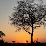 Photo taken by Tom B