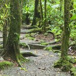 Photo taken by Darla D