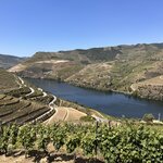 Photo taken by Lynn R