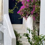 Photo taken by Anita H