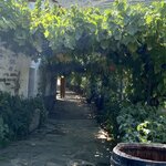 Photo taken by Stella S