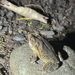 Photo taken by Susan O