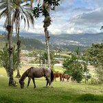 Photo taken by Ann F