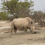 Photo taken by Nigel R