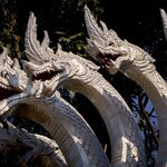 Photo taken by Steve B