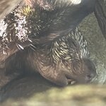 Photo taken by Bonnie Y