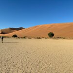 Photo taken by Sandro P