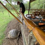 Photo taken by Nicole S