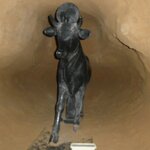 Photo taken by Maryann S