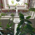 Photo taken by Louis U