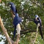 Photo taken by Kakoli K