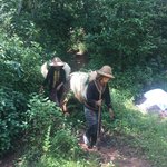 Hard workers | Photo taken by Rachael W