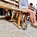 Photo taken by Katherine A