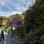 Photo taken by Frank S