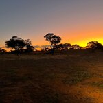 Photo taken by Sandro P