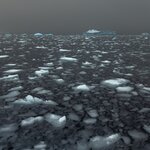 Photo taken by SANDRA V